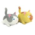 SQUIDGY CAT Online Hot Sale