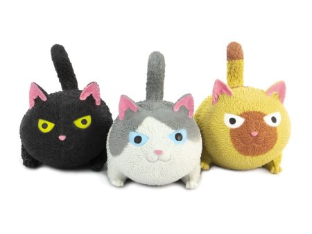 SQUIDGY CAT Online Hot Sale