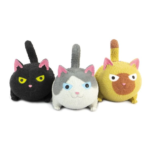 SQUIDGY CAT Online Hot Sale