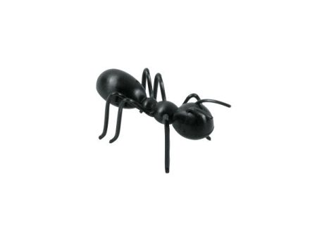 3D Ant Cupcake Layon Fashion